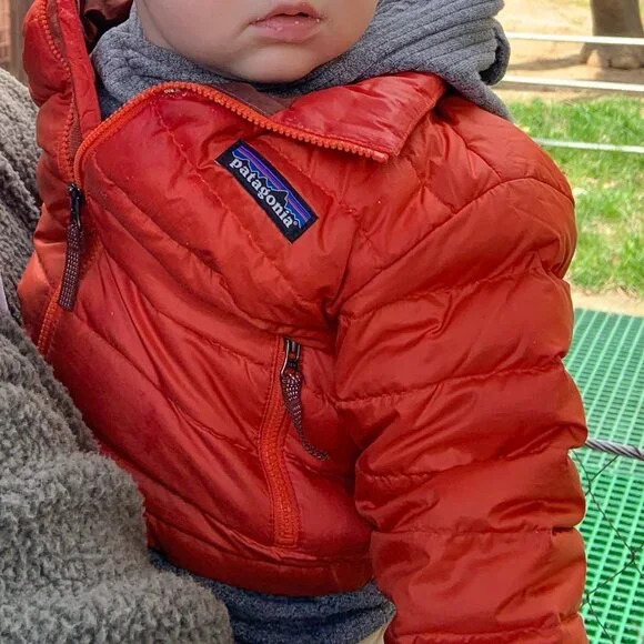 Patagonia down sweater jacket 12-18m EUC - Picture 4 of 12